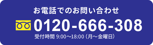 0120-666-308